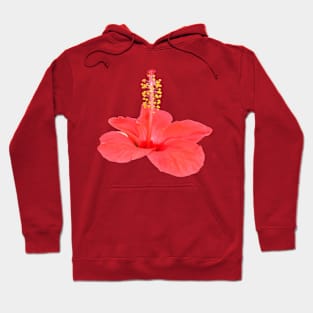 Hibiscus Exotic Tropical Flower Cut Out Hoodie